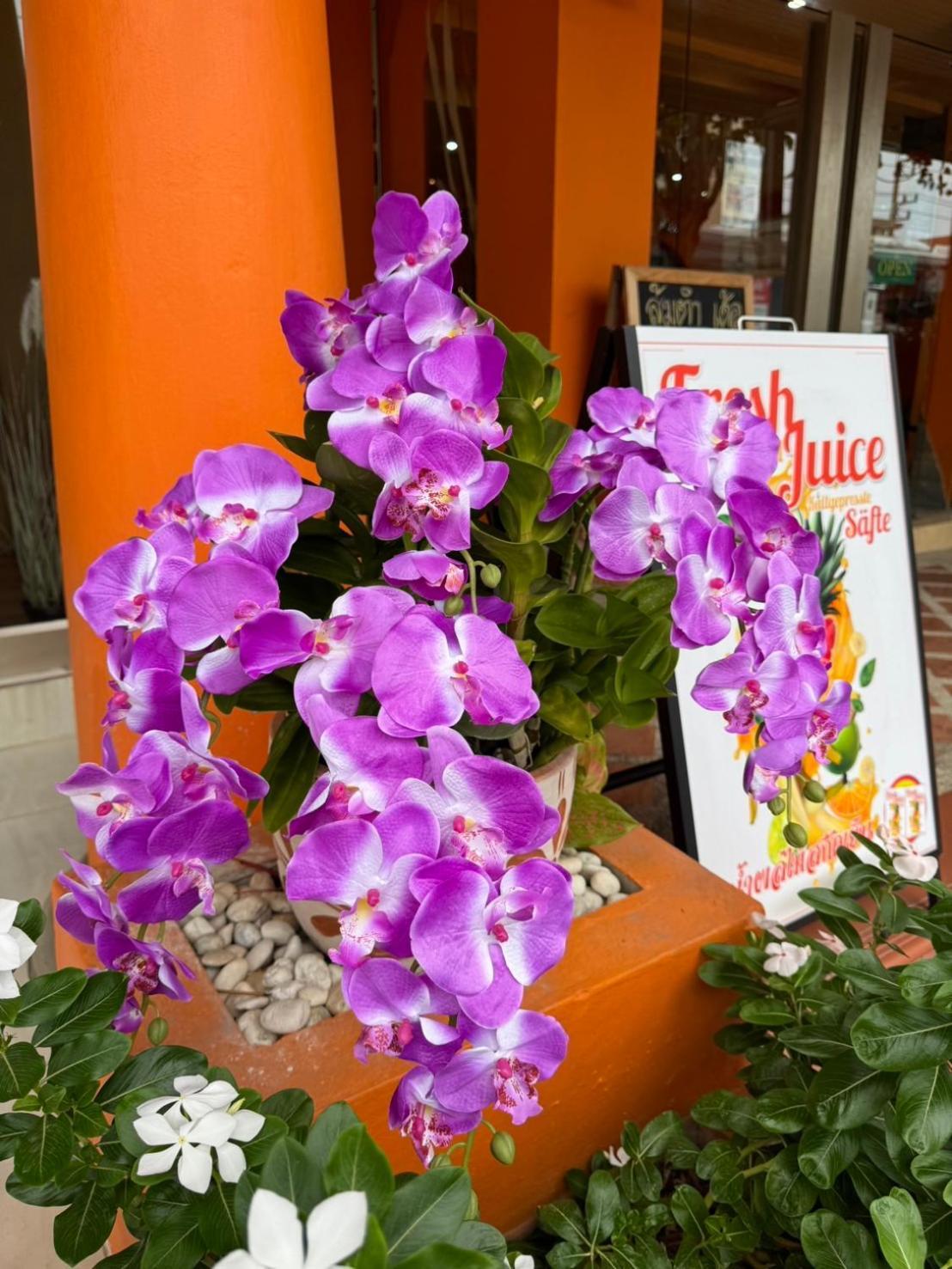 Venice Hotel 华欣 外观 照片